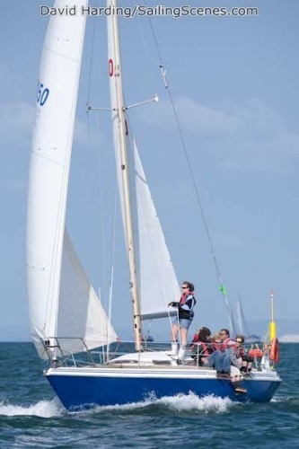 sussex yacht club boats for sale